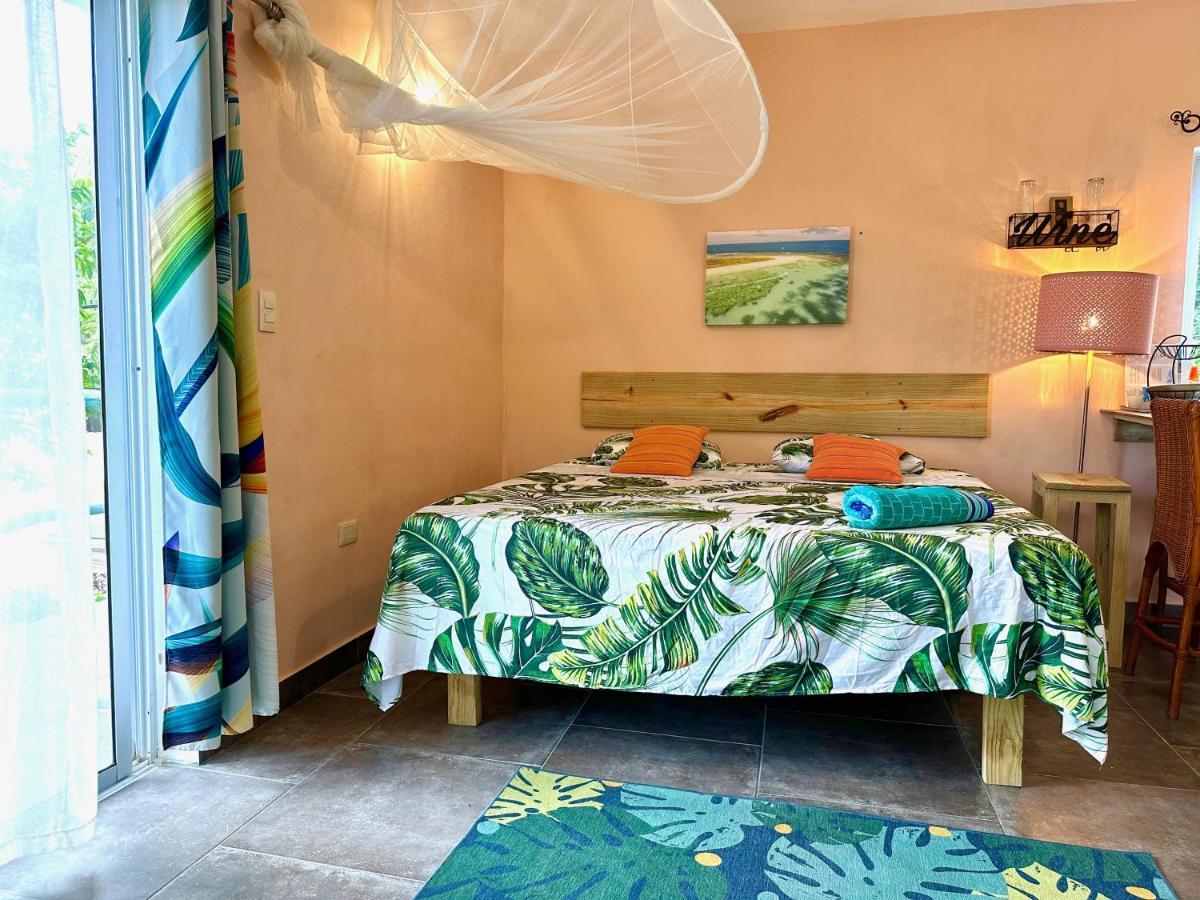 Cabarete Boutique Kite Hotel For Up To 15 People 외부 사진