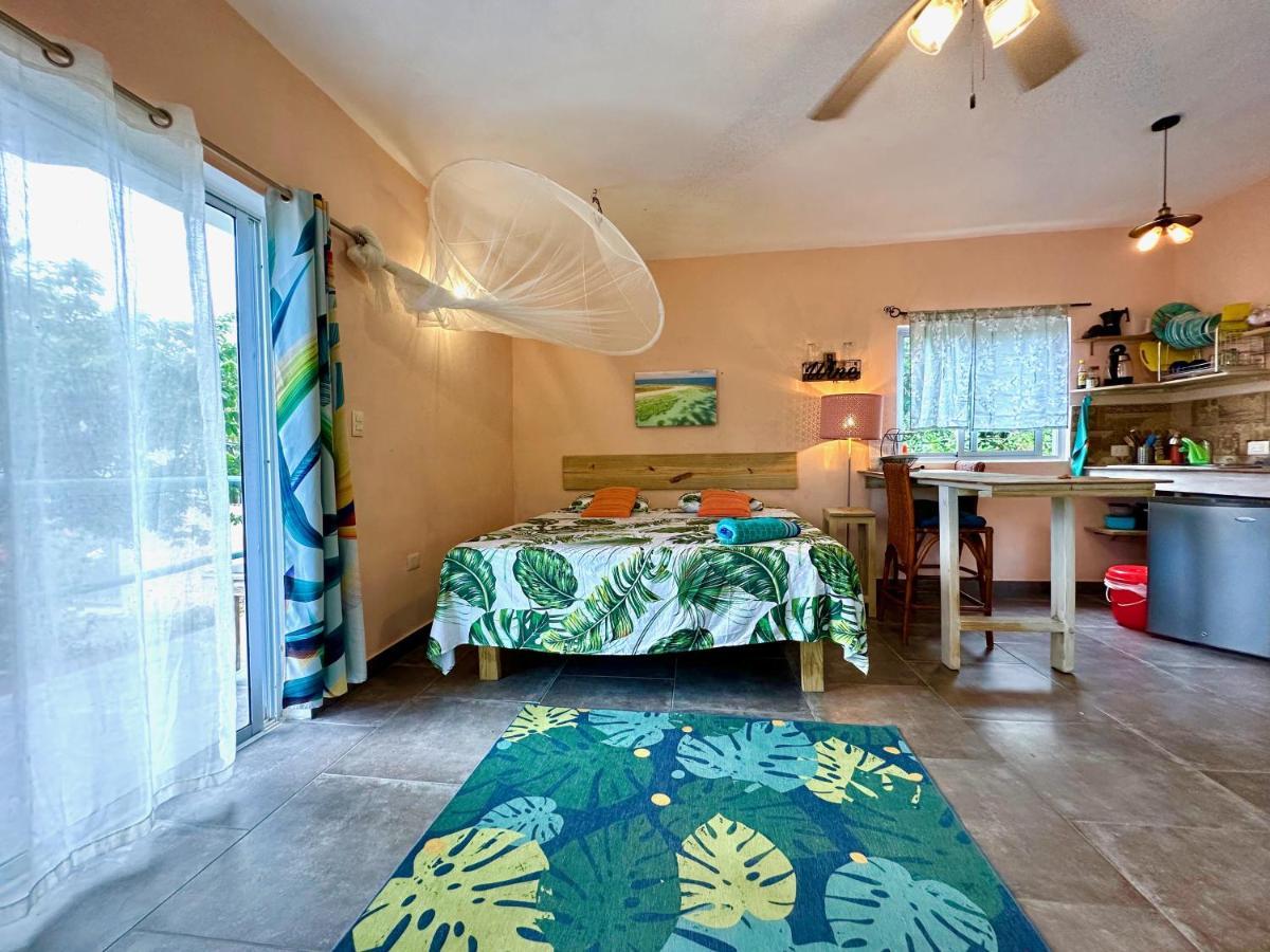 Cabarete Boutique Kite Hotel For Up To 15 People 외부 사진