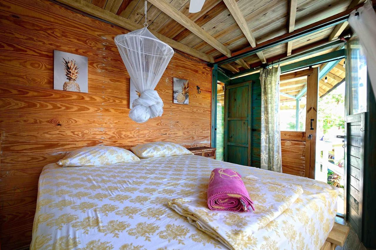 Cabarete Boutique Kite Hotel For Up To 15 People 외부 사진